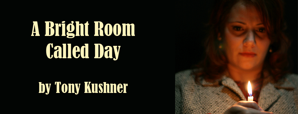 A Bright Room Called Day